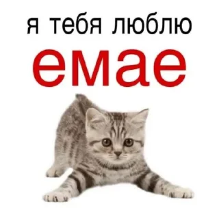 👩‍❤️‍👩