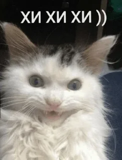 🤡
