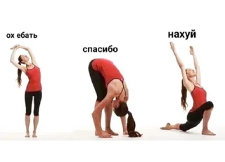 сучьи стикеры