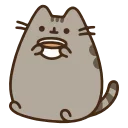 🐱