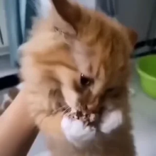 😩