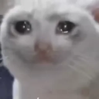 🥲