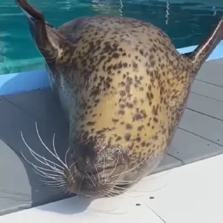 😳