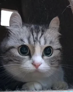 😳