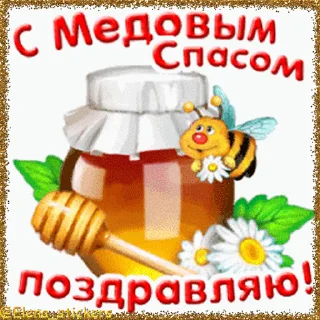 🍯