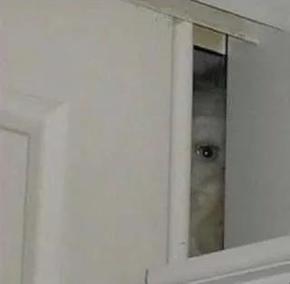 👁