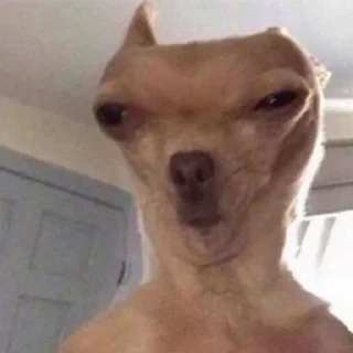 🐸