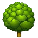 🌳