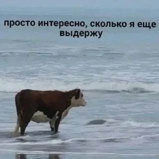 😩