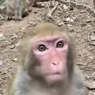 😠