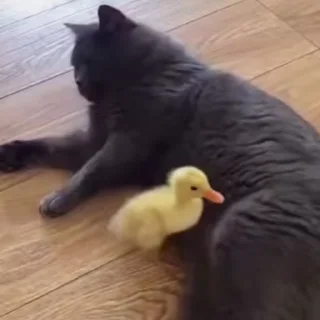 😒