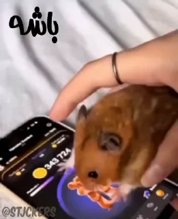 👍
