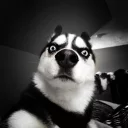 😳