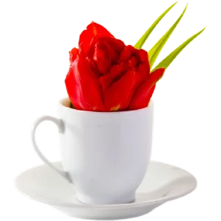☕️
