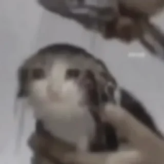 😭