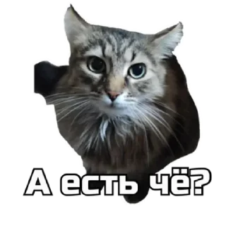 🙂