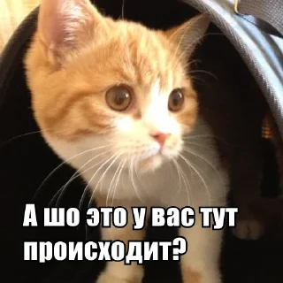 👀