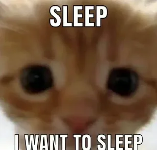 💤