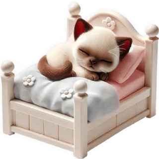 😴