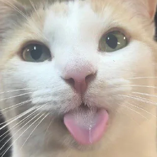 😝