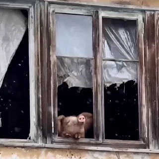 😊