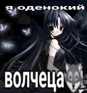 🐺