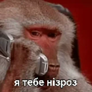 😶