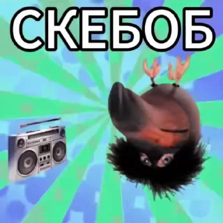 🎵