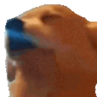 🕺