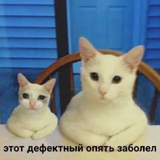 😷