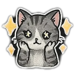 🐱