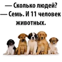 👍