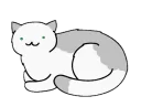 Cats cats cats