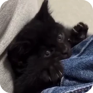 ☺️