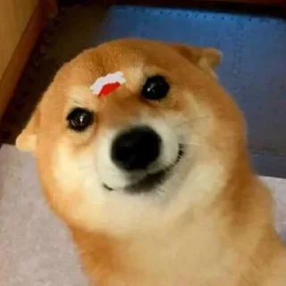 ⚡