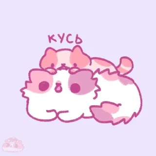 🐱