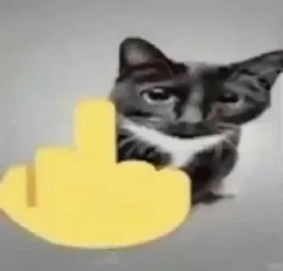 🖕