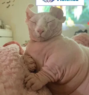 😑