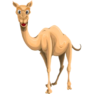 🐪