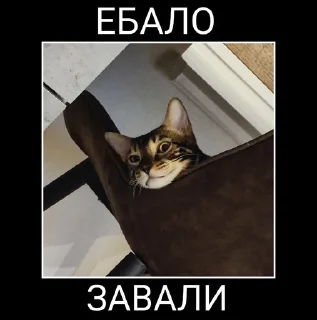 🤫