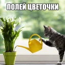 🌷