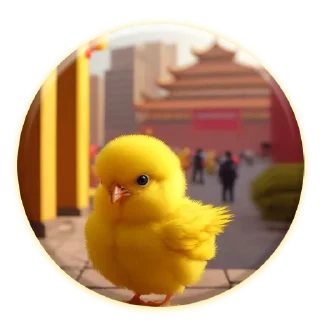 🇨🇳