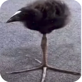 👍