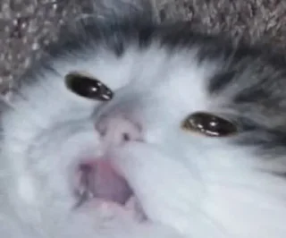 😐