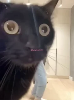 😨