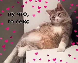 🙇‍♀️