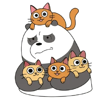 🐱