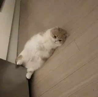 😕