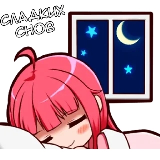 🛌