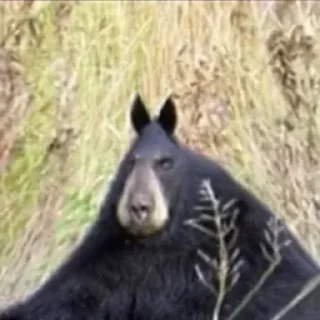 😐